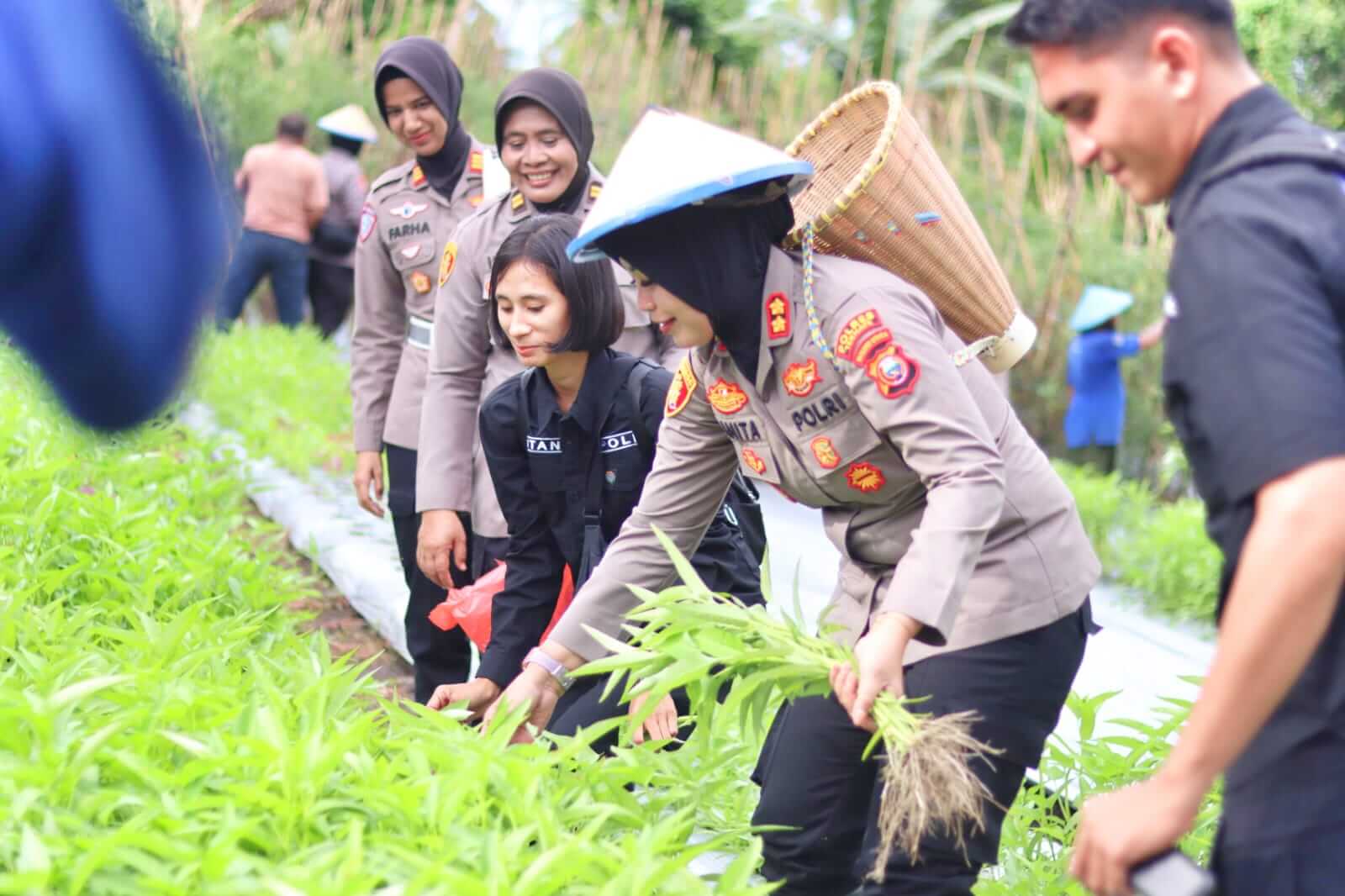Kapolres Anita Ratna Yulianto panen sayuran dalam program ketahanan pangan