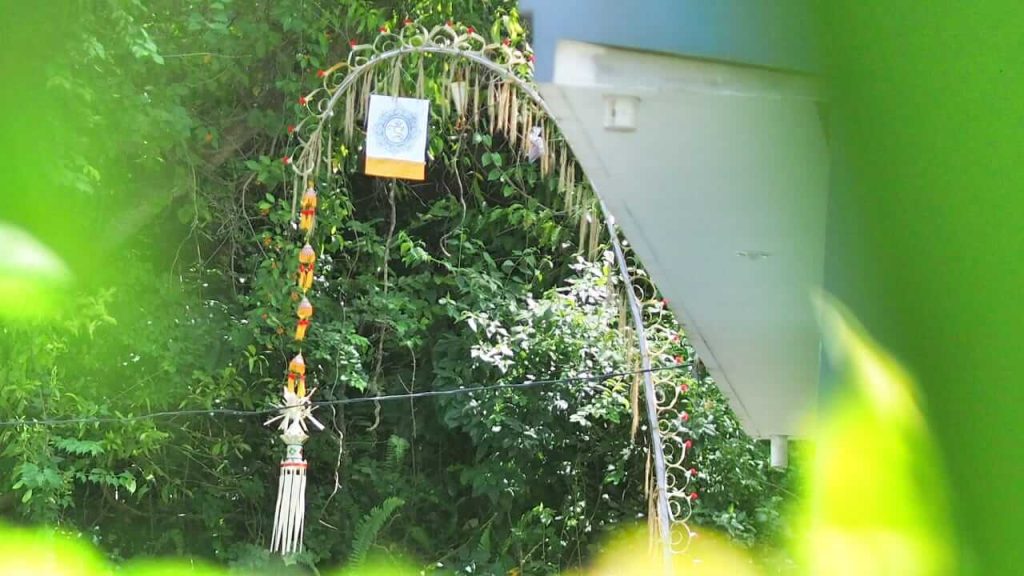 Penjor kuning berdiri megah di depan rumah saat Hari Raya Kuningan di Bali.