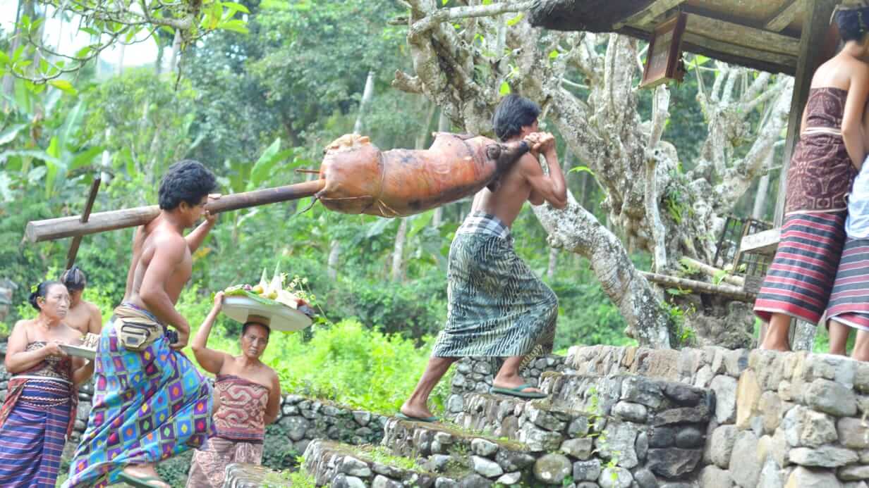 Pria Tenganan mengangkat babi guling dan sesajen menuju pura sebagai bagian dari tradisi adat.