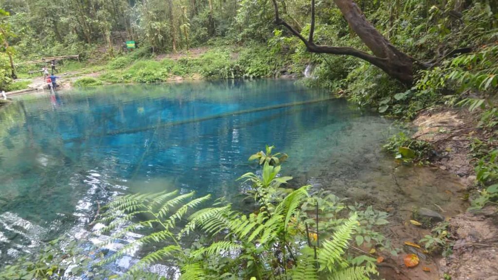 Danau kecil tersembunyi di tengah hutan lebat dengan suasana alami yang menenangkan.