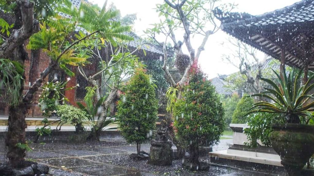 Hujan deras mengguyur kawasan Mambal, Bali pada 14 Juni 2025.