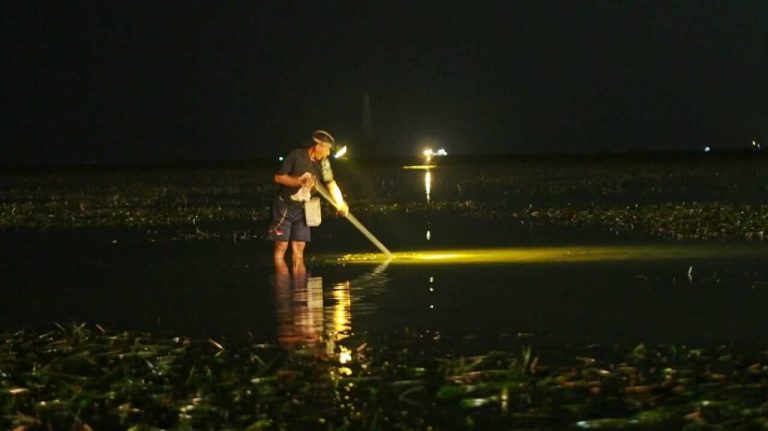 Warga mencari ikan dengan tombak menggunakan senter kepala sebagai penerangan.