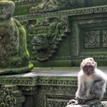 Seekor monyet bersantai di kawasan wisata Monkey Forest Ubud.