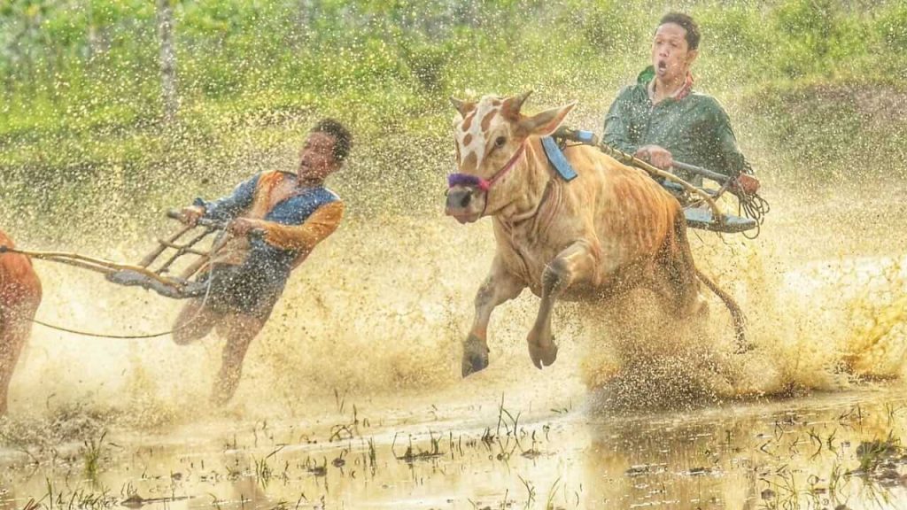 Siluet seseorang tengah berlari di jalur terbuka, diterangi cahaya alami pagi atau senja yang membangkitkan semangat.