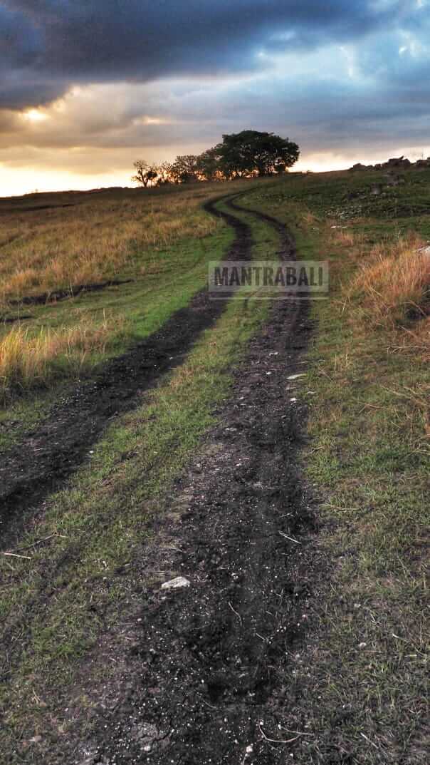Mentari terbit perlahan di balik lanskap alam terbuka, disertai angin tenang dan suasana hening jauh dari hiruk pikuk jalan raya.