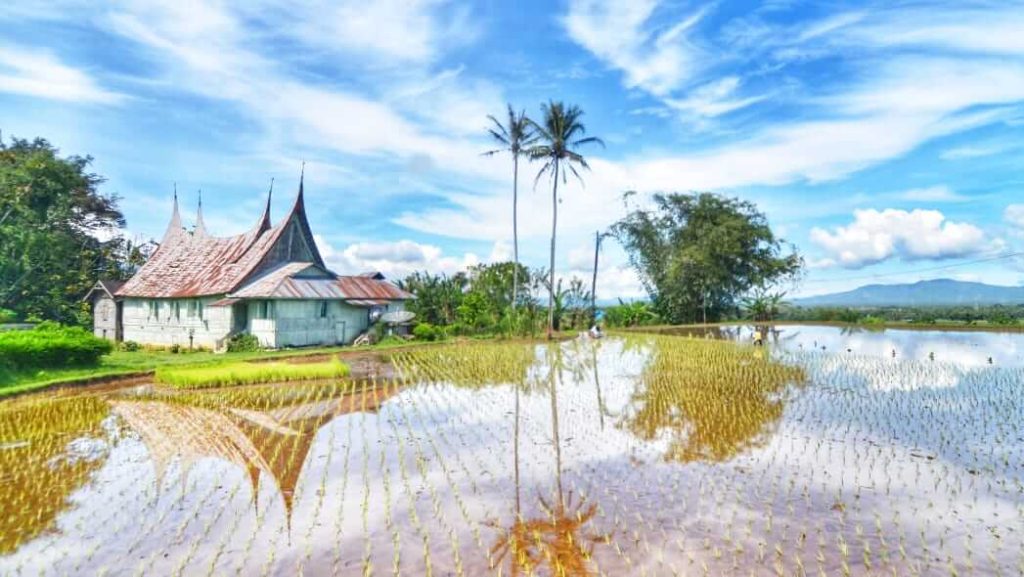 Siluet rumah sederhana di tengah lanskap tenang, simbol kehangatan dan tempat kembali.