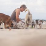 Turis memberi makan anjing liar di Pantai Jimbaran Bali sebagai wujud kepedulian dan kasih sayang.