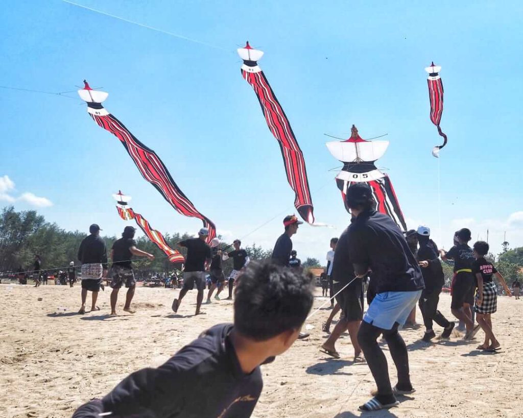 Tim bekerja sama menerbangkan layangan Janggan tradisional dengan bantuan angin.