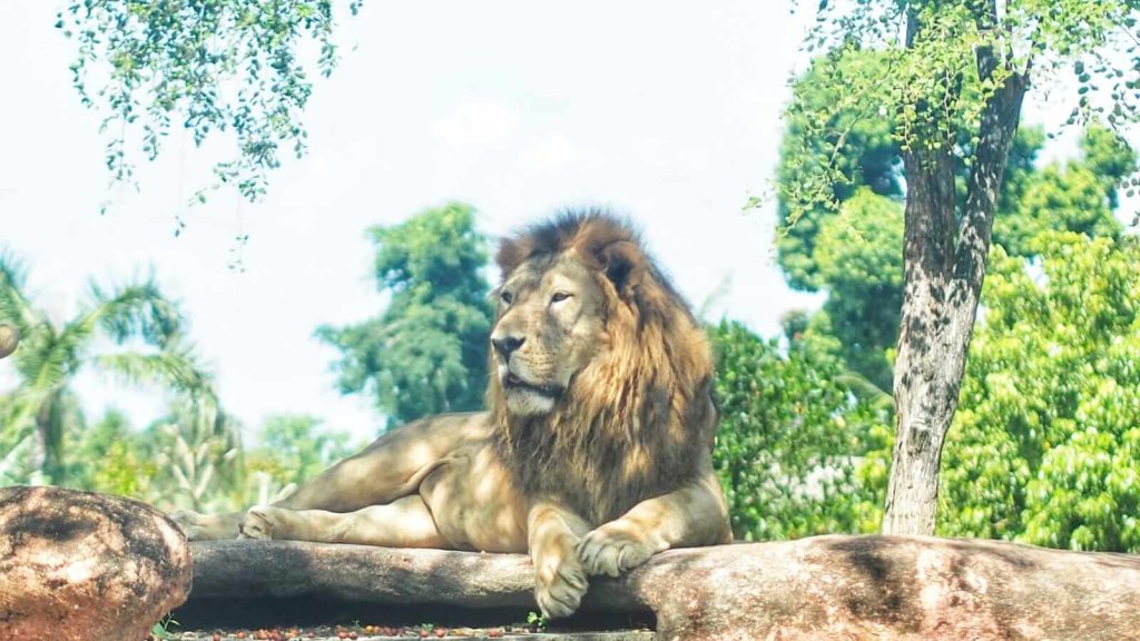 Ilustrasi kehidupan yang menggambarkan bahwa hidup bukan perlombaan karena setiap orang punya jalurnya sendiri.