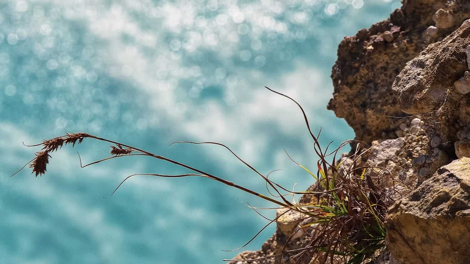 Ilustrasi keteguhan hidup yang mengajarkan kebijaksanaan melihat jurang bukan selalu sebagai ancaman.