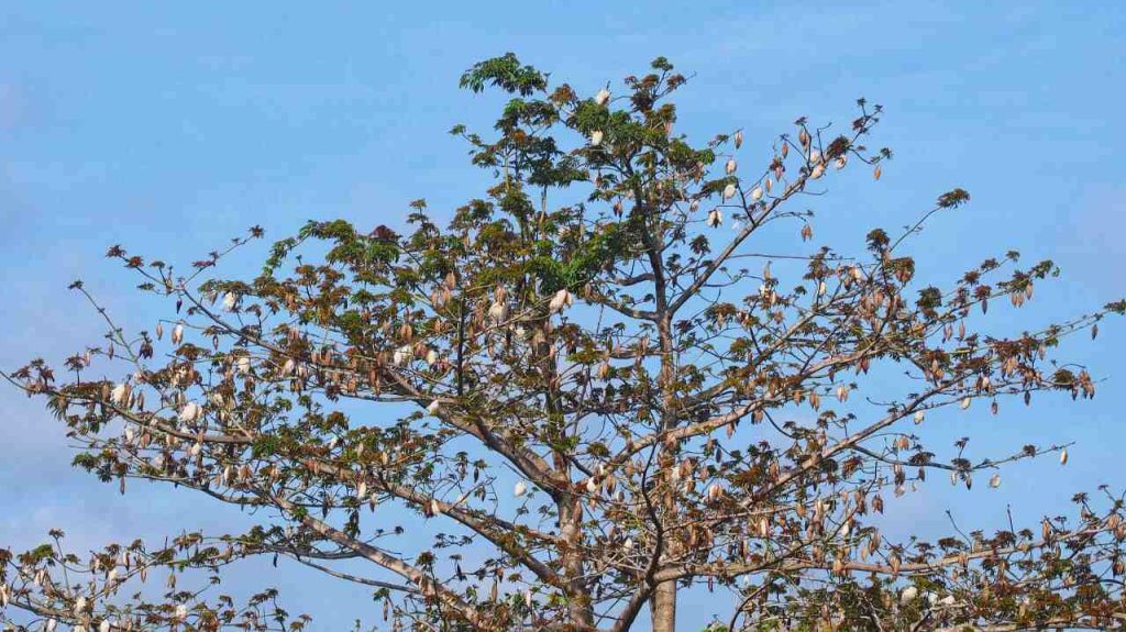 Melepaskan adalah bentuk kebijaksanaan dan kesadaran akan peran kita dalam siklus alam semesta yang luas.