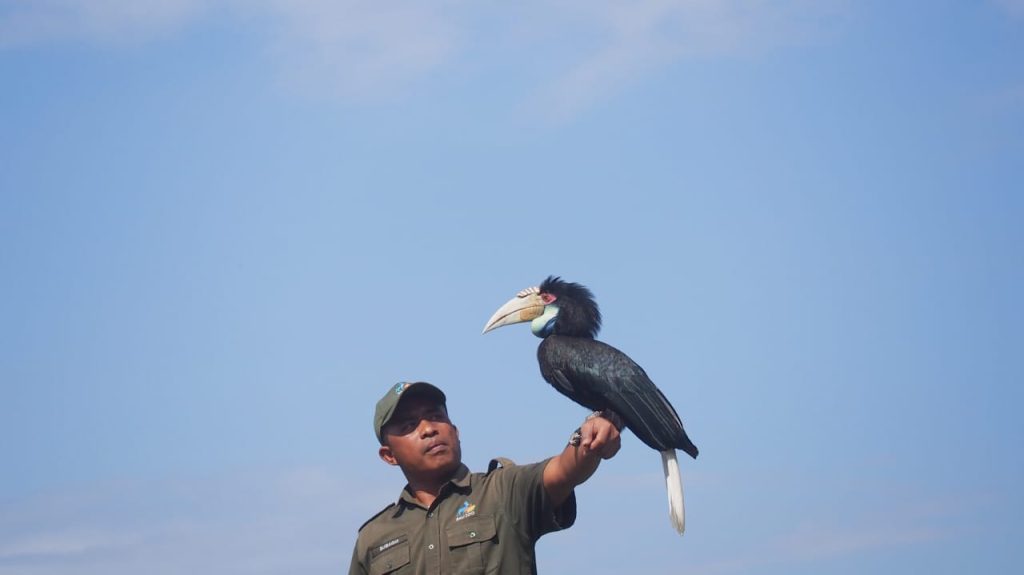 Para pelatih burung berperan penting menghadirkan pertunjukan yang memukau penonton.