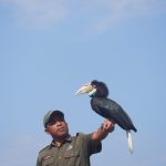 Para pelatih burung berperan penting menghadirkan pertunjukan yang memukau penonton.