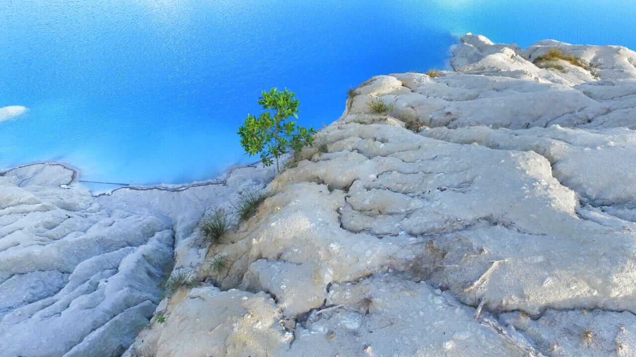 Akar kecil tumbuh di tanah gersang sebagai simbol keteguhan hidup.