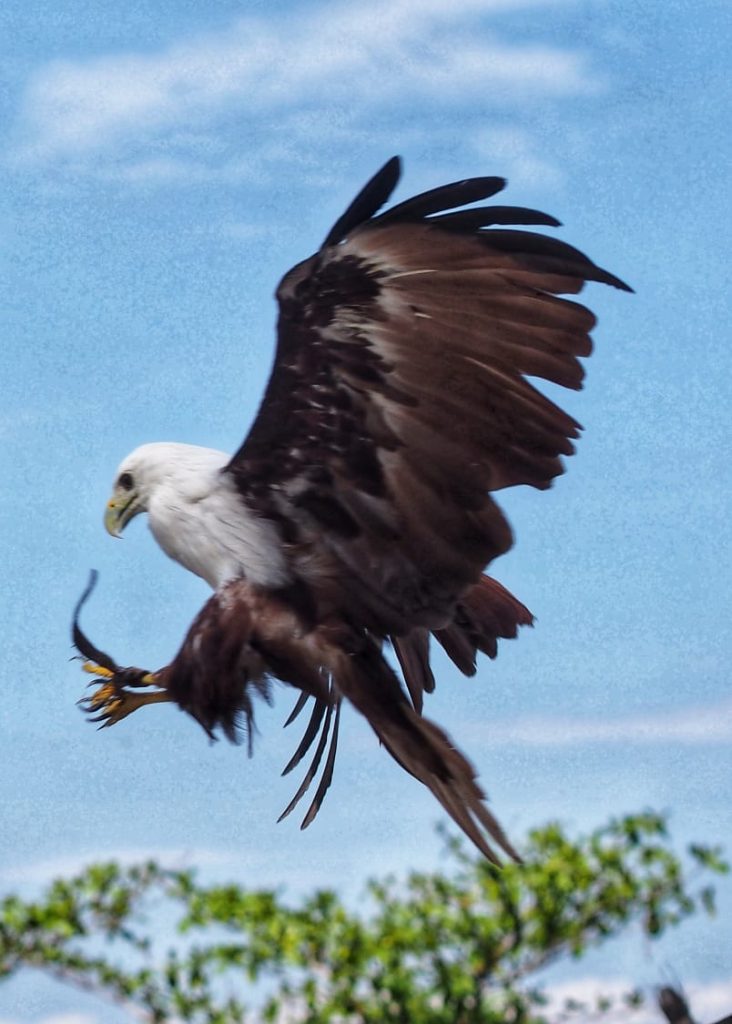 Filosofi kekuatan sejati tentang mengendalikan kemampuan, bukan sekadar memperlihatkannya.