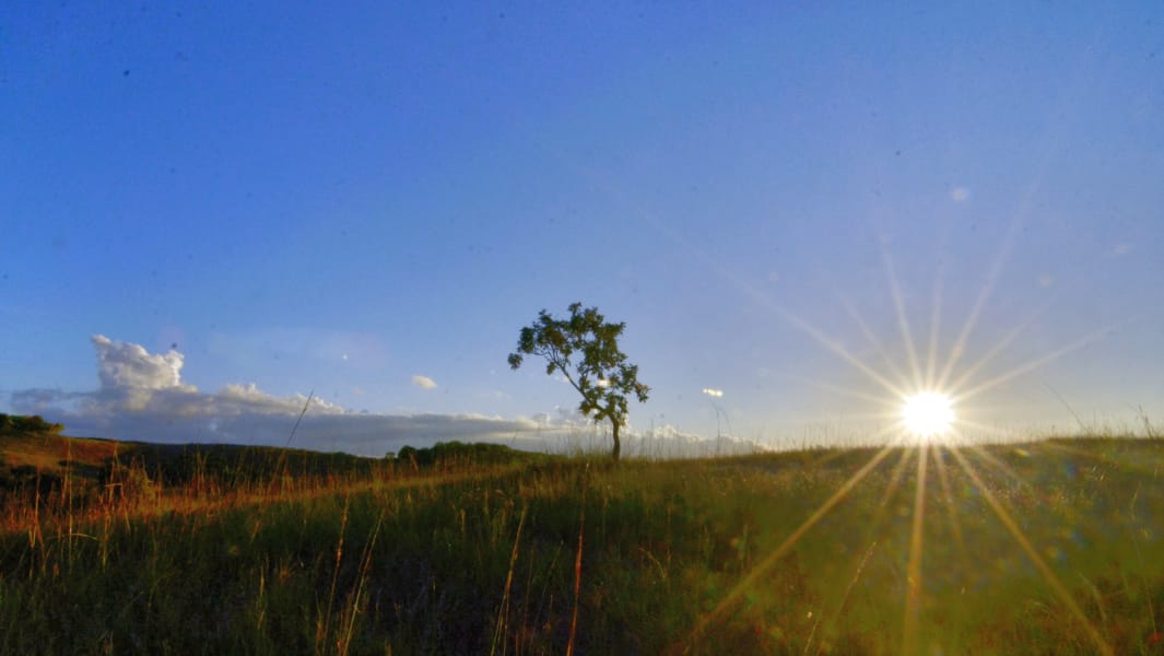 Pemandangan alam Bali dengan pepohonan hijau dan cahaya matahari pagi yang lembut.