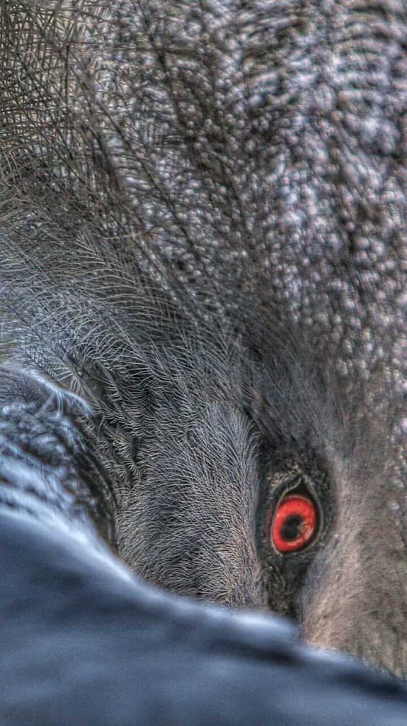 Seorang individu menatap ke kejauhan dengan pancaran semangat di matanya.