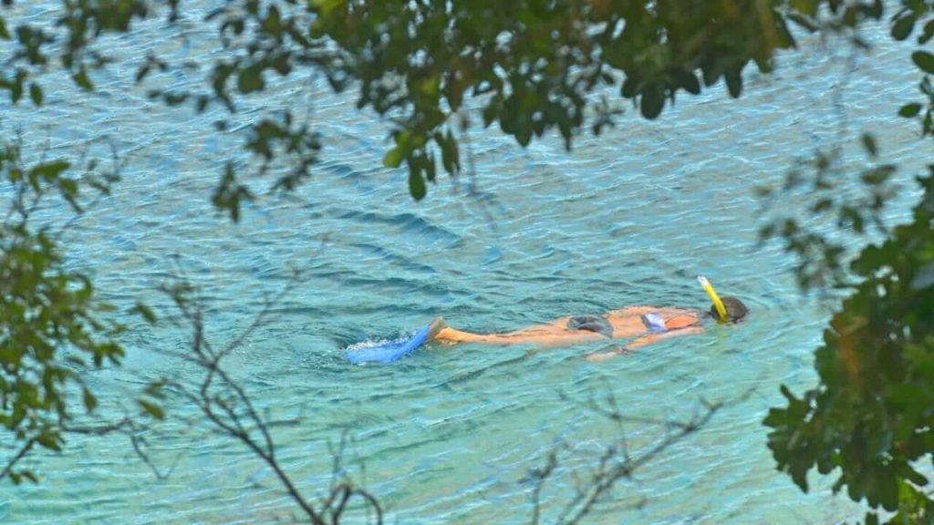 Pemandangan bawah laut Pulau Weh yang memukau dengan terumbu karang dan ikan berwarna-warni.