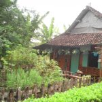 Rumah sederhana bergaya tradisional berdiri di tengah lingkungan alami di Bali.