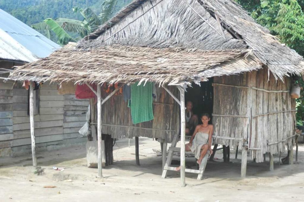 Sebuah rumah sederhana dengan suasana hangat dan tenang di pedesaan.