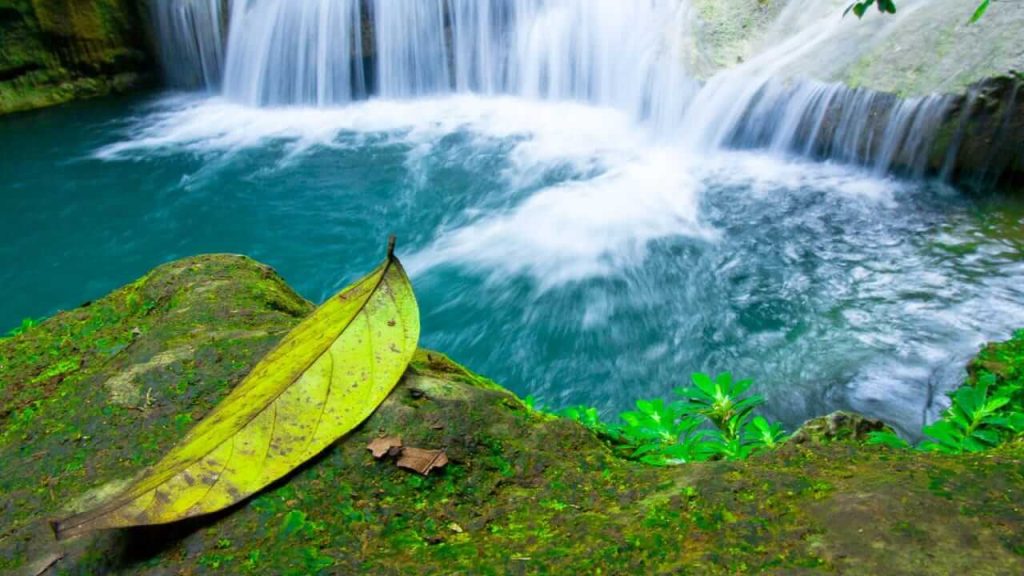 Daun kecil mengapung diam di antara derasnya arus air terjun.