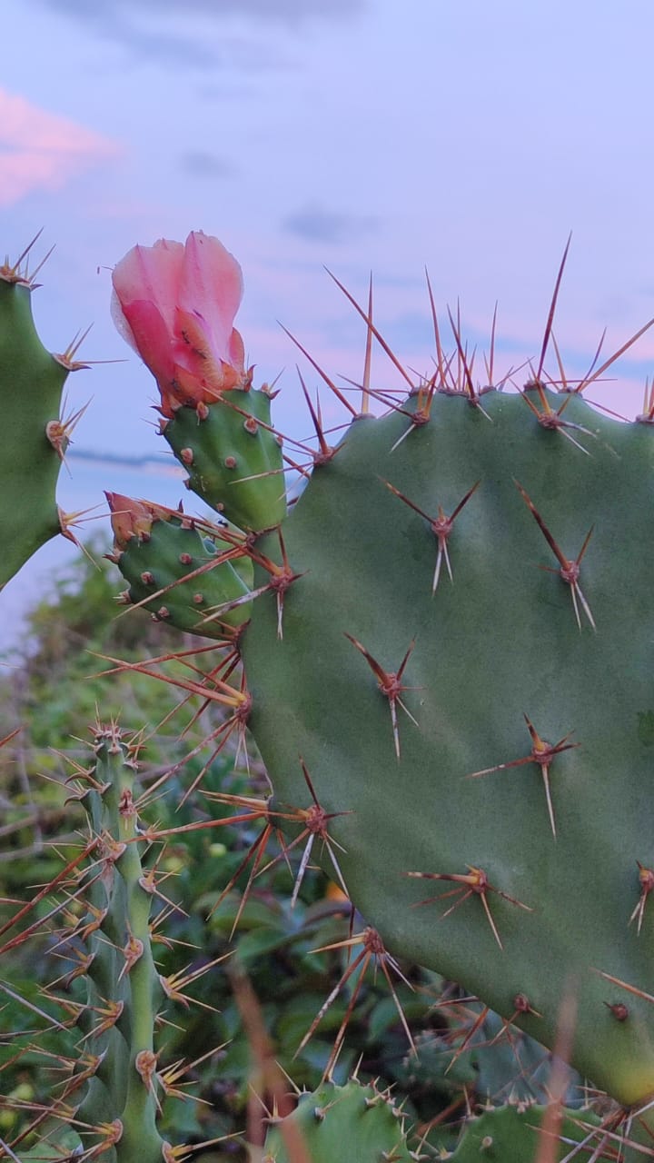 Potret manusia di lingkungan sederhana dengan latar suasana kehidupan yang keras.
