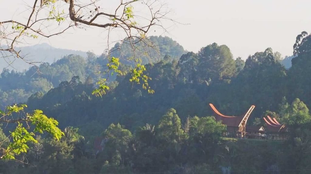 Suasana di Tanah Toraja dengan latar rumah adat tongkonan, menggambarkan kekayaan budaya dan tradisi setempat, termasuk upacara Rambu Solo.
