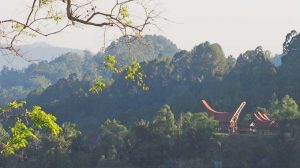 Suasana di Tanah Toraja dengan latar rumah adat tongkonan, menggambarkan kekayaan budaya dan tradisi setempat, termasuk upacara Rambu Solo.