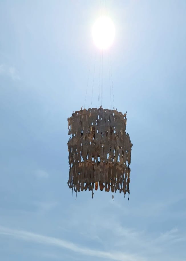 Potongan tunggul pohon atau akar besar yang tersisa di tanah, menggambarkan makna Tunggak Wareng dalam konteks alam Bali.