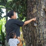 Ayu mengajak anak-anak bermain di Pantai Cemara sambil mengenalkan kehadiran tupai sebagai edukasi alam yang sederhana dan bermakna.