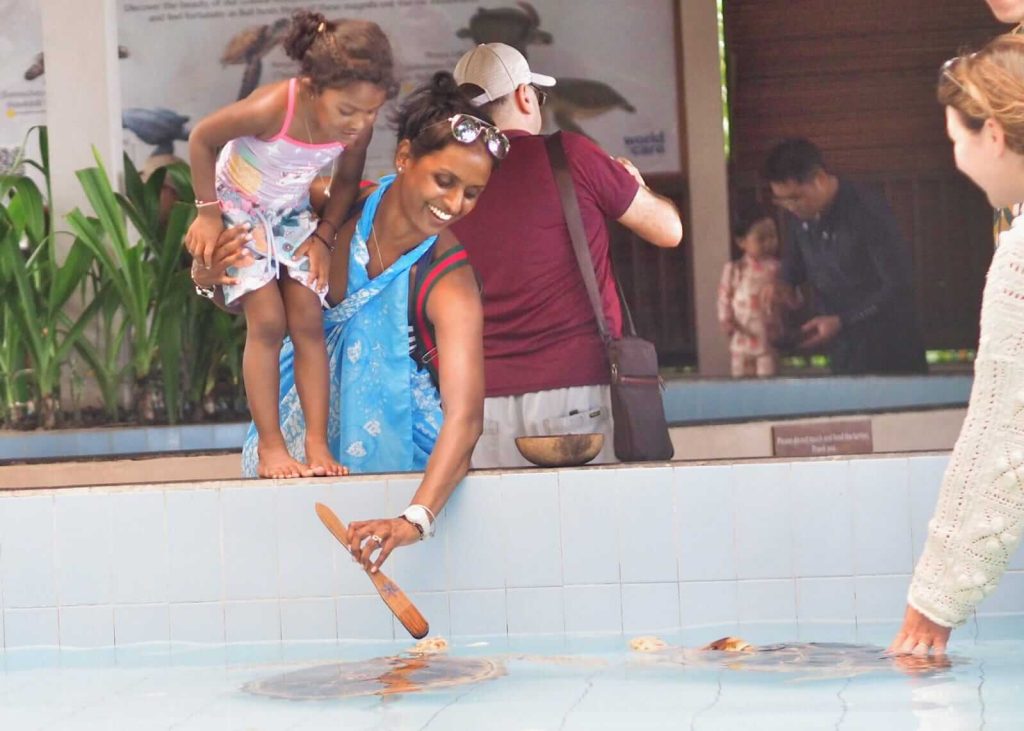 Penangkaran penyu di Hotel Hyatt Sanur sebagai wujud pelestarian alam dalam sektor pariwisata.