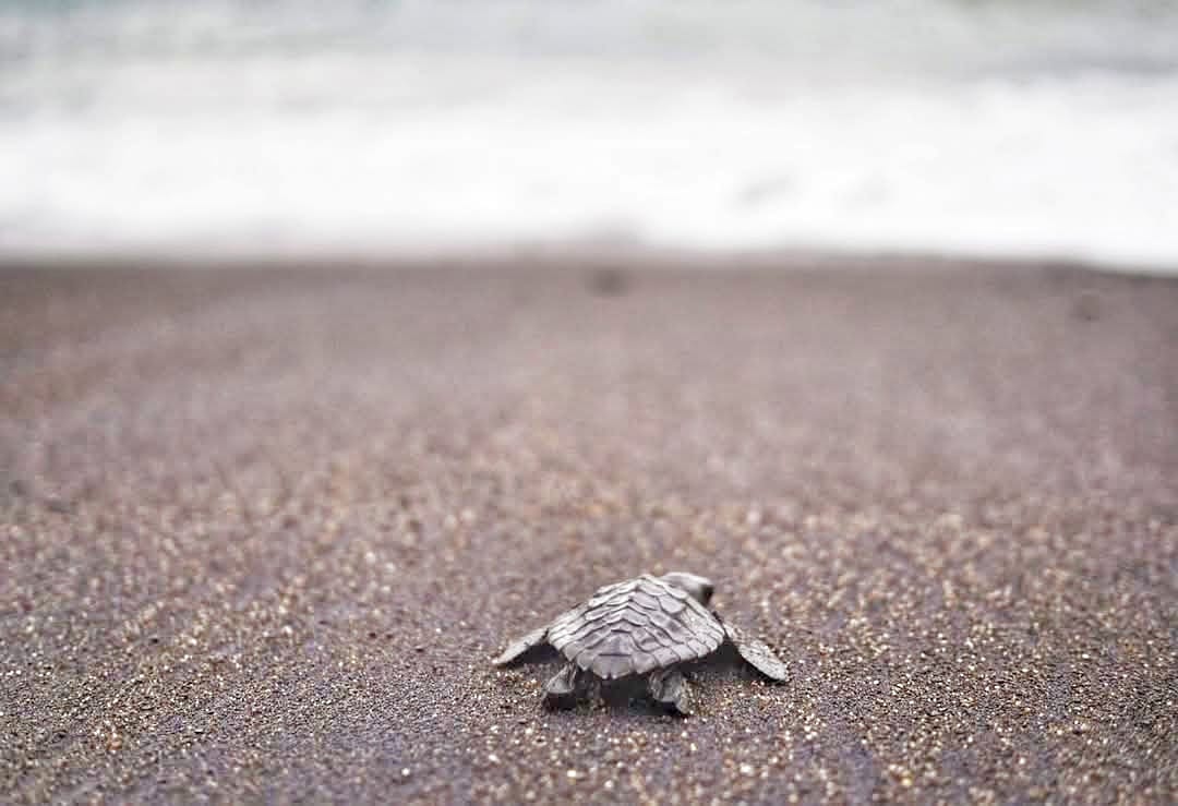 Seseorang melangkah perlahan di sebuah jalur, mencerminkan perjalanan yang tenang dan berkesinambungan.