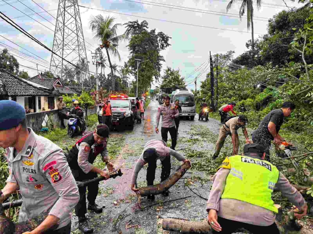 Pohon tumbang menghalangi jalan di sekitar area PLTU Celukan Bawang.