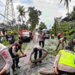 Pohon tumbang menghalangi jalan di sekitar area PLTU Celukan Bawang.