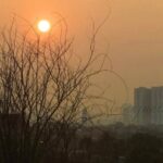 Ranting pohon dengan latar bangunan kota, menggambarkan pertemuan alam dan urban.