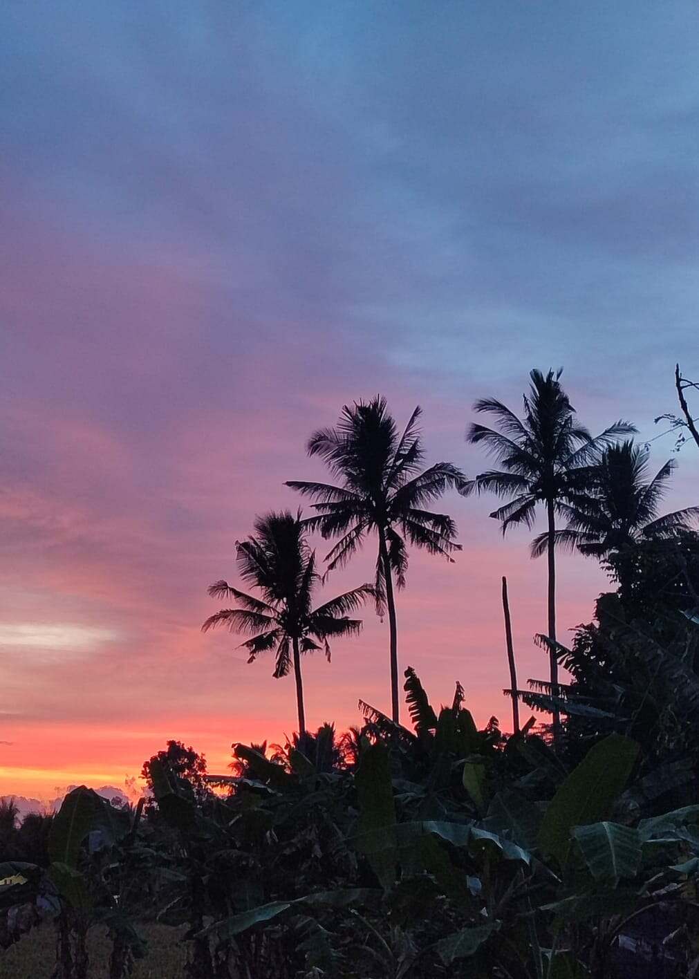Langit senja dengan warna hangat yang perlahan meredup.