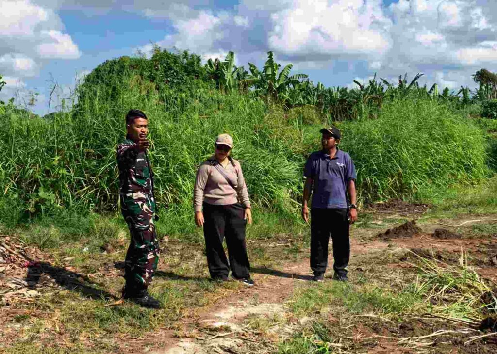 Babinsa Desa Penarungan bersama tim melakukan survei lokasi rencana tempat penampungan dan pengolahan sampah kompos