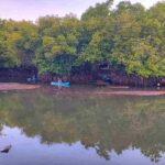 Kawasan Ekowisata Mangrove Batu Lumbang dengan jalur kayu dan pepohonan mangrove yang rindang