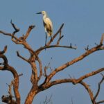 Seseorang duduk sendiri dalam suasana tenang dan hening untuk refleksi diri