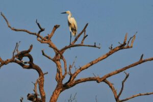 Seseorang duduk sendiri dalam suasana tenang dan hening untuk refleksi diri