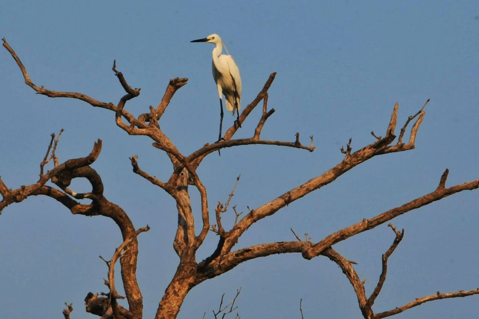 Seseorang duduk sendiri dalam suasana tenang dan hening untuk refleksi diri