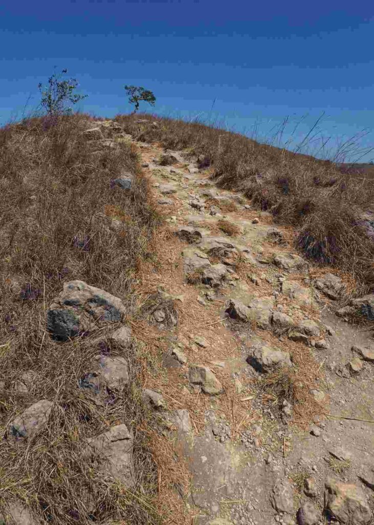 Seseorang melangkah maju dengan latar pemandangan yang mengarah ke puncak.