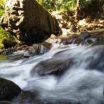 Aliran air tenang mengalir di antara batu-batu dengan suasana alami yang damai