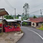Aktivitas masyarakat lokal Bali dalam suasana keseharian yang sederhana dan alami
