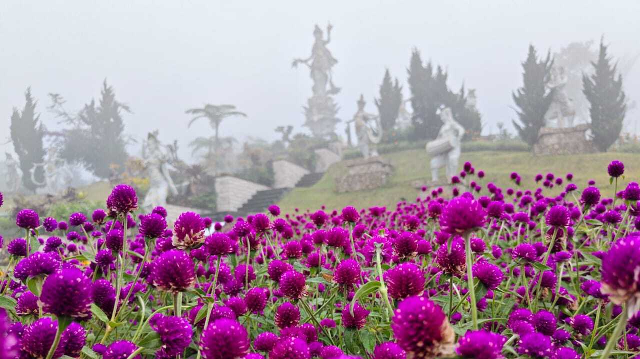 The Blooms Garden dengan hamparan taman bunga, udara pegunungan, dan suasana sejuk