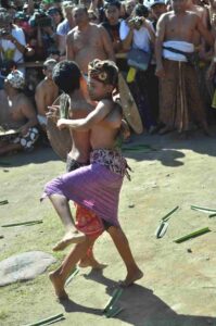 Tradisi Perang Pandan di Desa Tenganan Pegringsingan sebagai ritual adat penghormatan kepada Dewa Indra