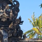 Monyet duduk di atas tembok pura menikmati sinar matahari