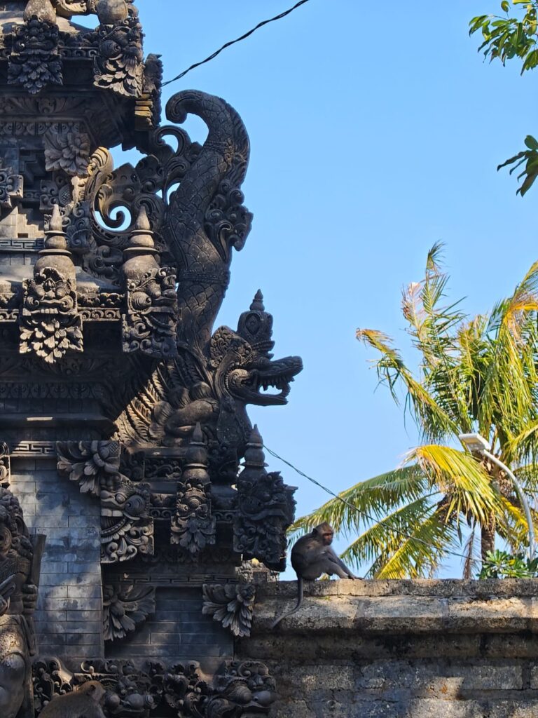 Monyet duduk di atas tembok pura menikmati sinar matahari