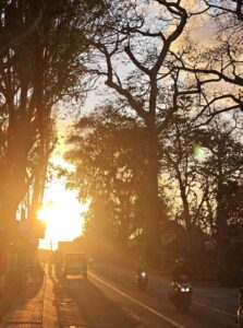 Cahaya pagi keemasan menyinari jalan dengan pepohonan dan kendaraan.