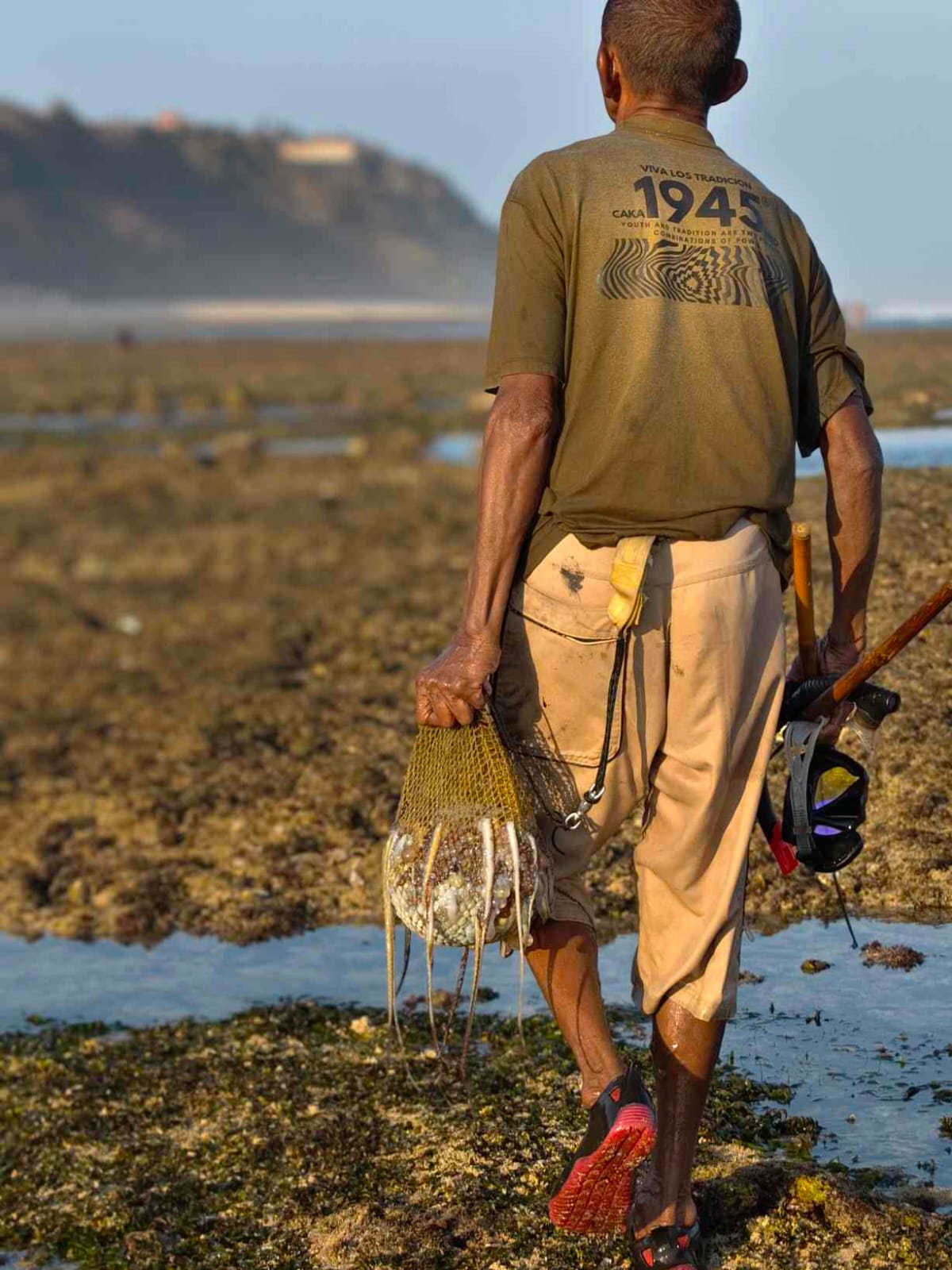 Aktivitas mencari kerang dan gurita saat air surut.